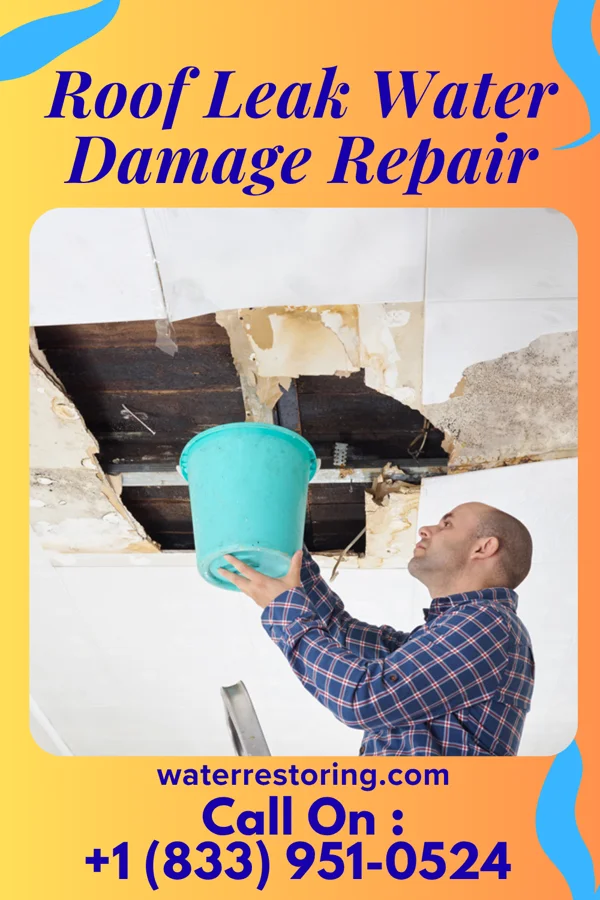 Roof Leak Water Damage Repair in Vernon, IL
